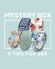 5 Tie Mystery Box